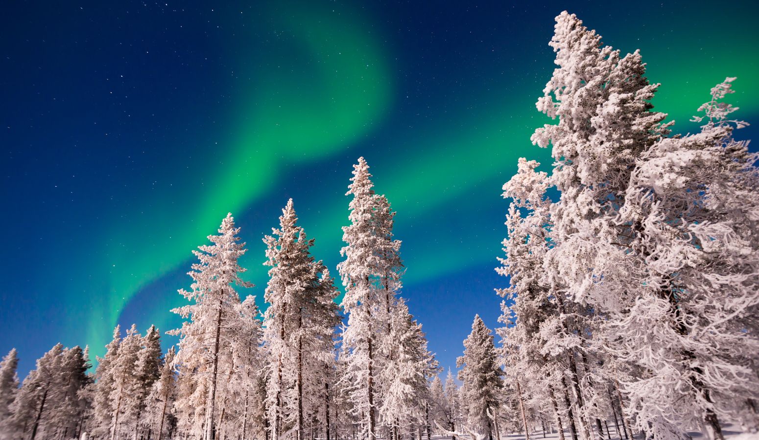 Christmas Special in Pyhä: Parkside Pyhä