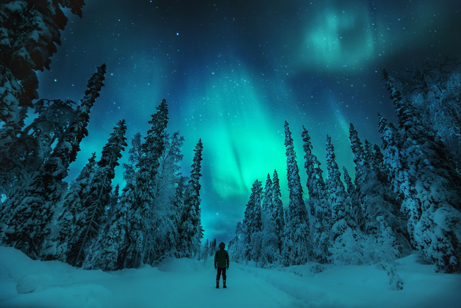 aurora boreal laponia