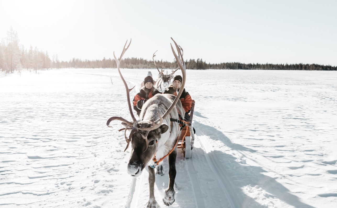 viajes a laponia papa noel excursiones rovaniemi