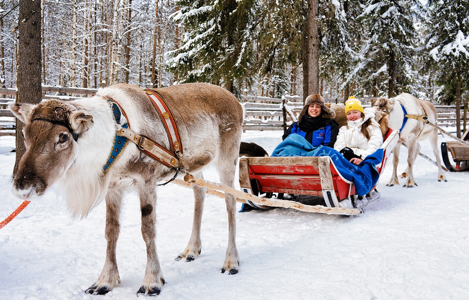 trineso en salla