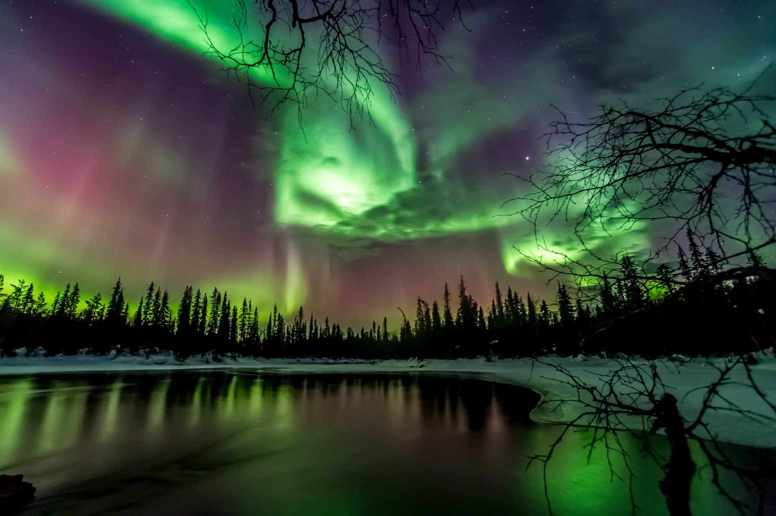 virkkula aurora boreal