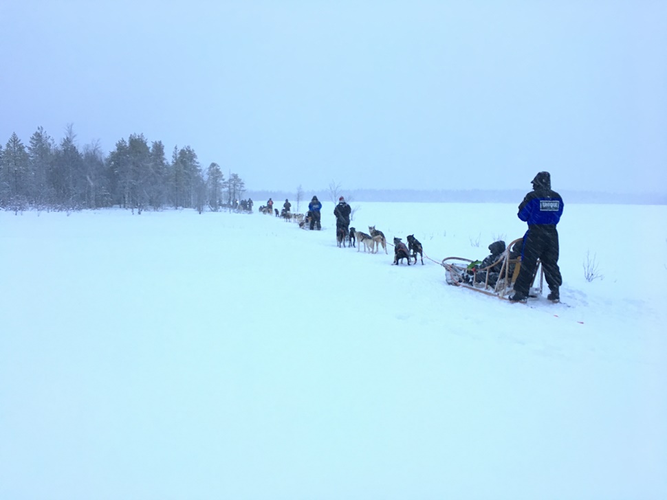 Ana B Arctic Circle Fin de Ano 2016