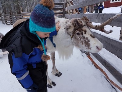 Anabel D Arctic Fin de Ano 2016 viaje laponia