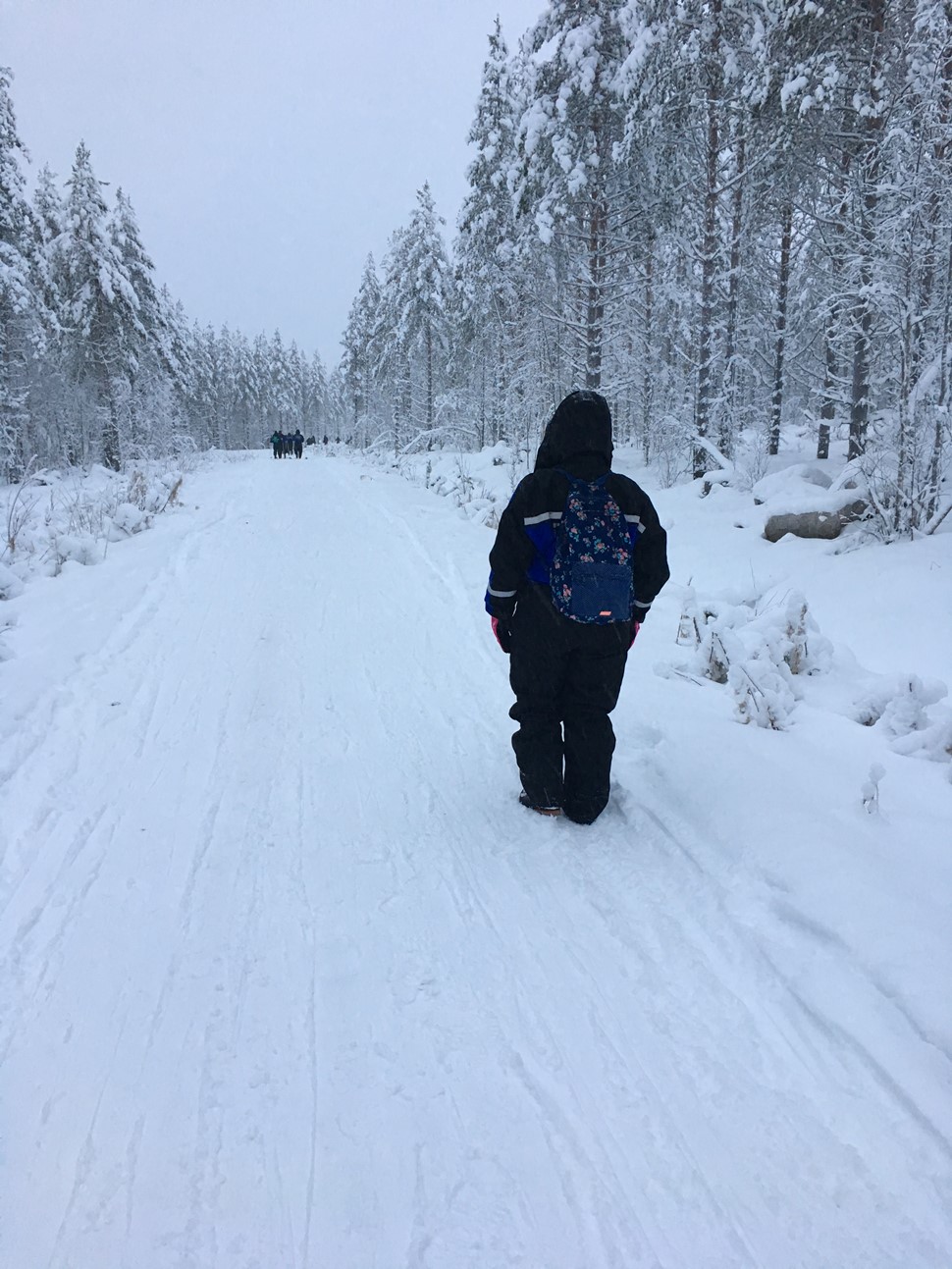 Carmen Montil Fin de Ano Arctic Circle 2018 01