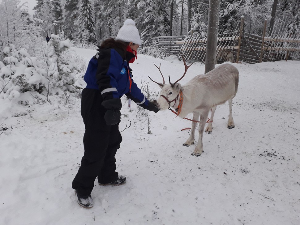 Elena Gonzalez Nochevieja 2018 Ruka Tropiikki 1