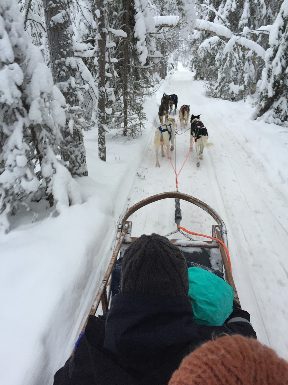 Fernando Carrion Reyes 2019 Arctic Circle Wilderness 2