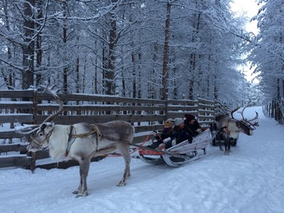 Imma A Navidad Arctic 2016 viaje laponia