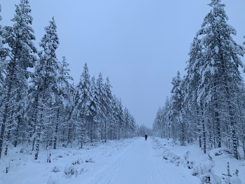 Isabel Abellan Nochevieja 2018 Arctic Circle Wilderness