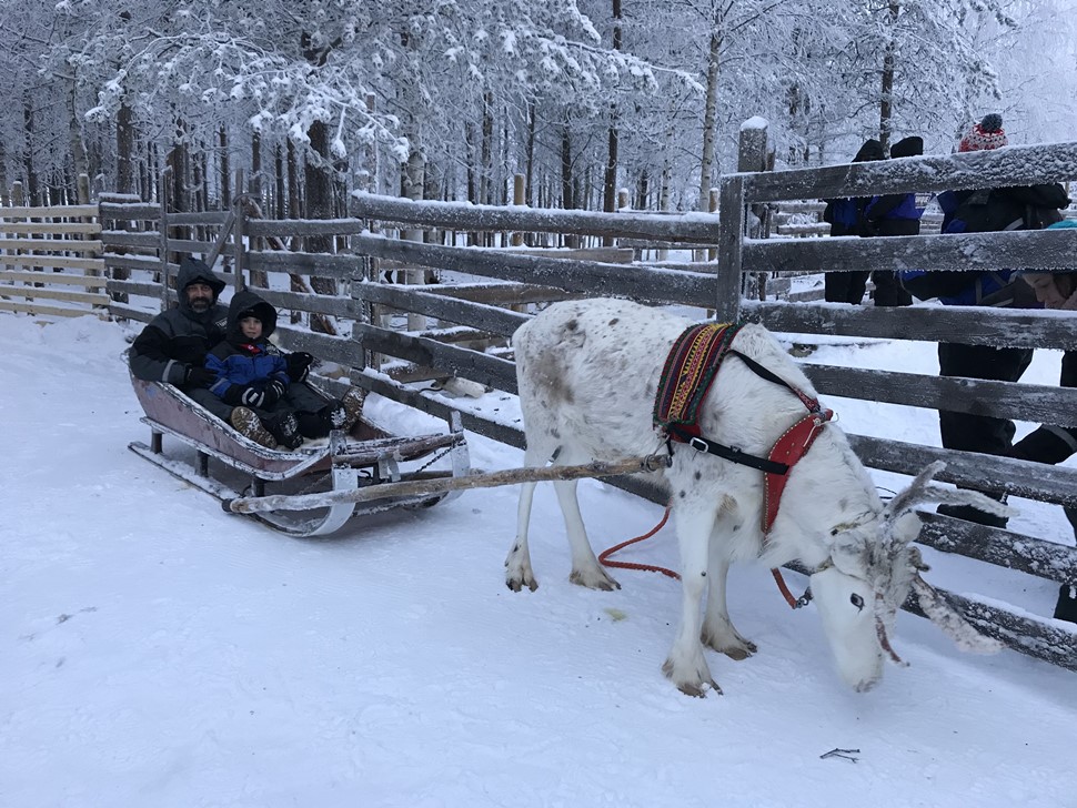 Juan S Navidad Arctic 2017