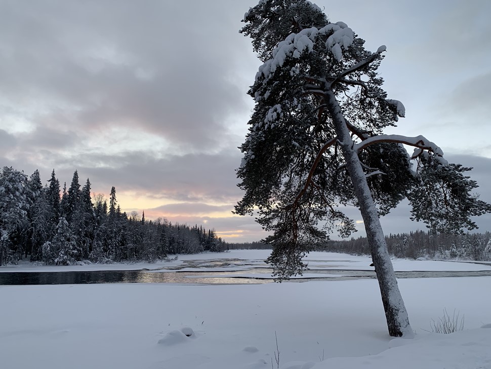 Maite V Reyes Arctic Circle 2019 2