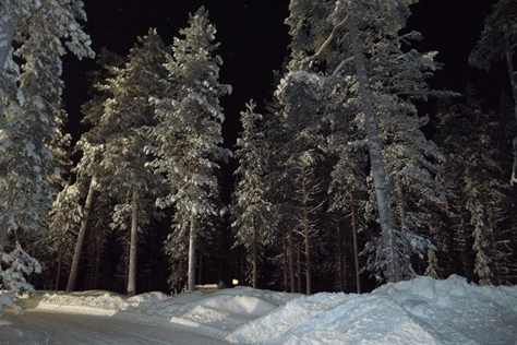 Navidad 2012 en Laponia Familia Coloma