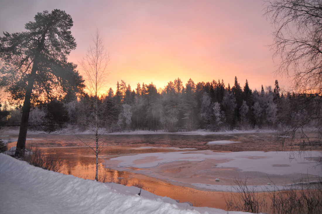 Sandra M Arctic Circle Navidad 2015