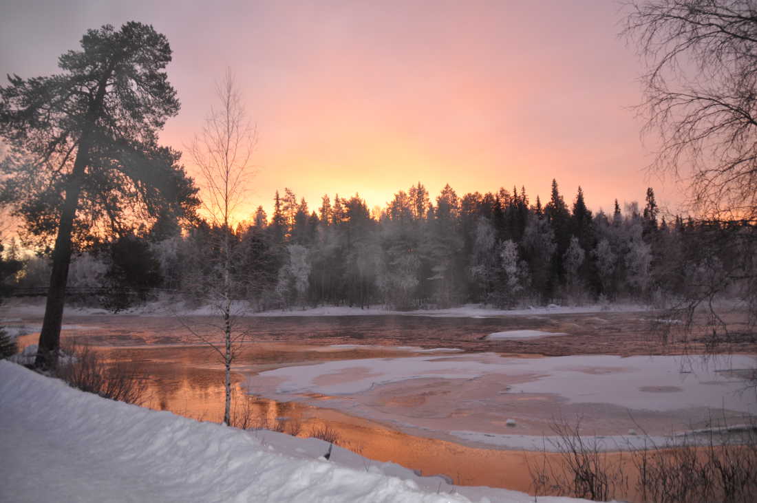 Sandra M Arctic Circle Navidad 2015