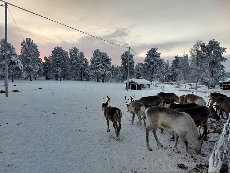 familia Igualada Paniagua diciembre muonio 01