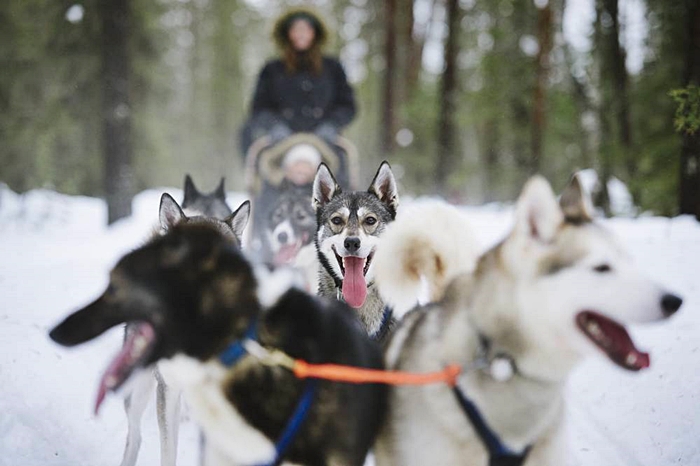 kuusamo diciembre 2017 laponia papa noel