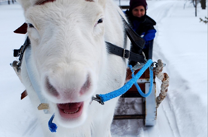 laponia papa noel arctic circle reyes