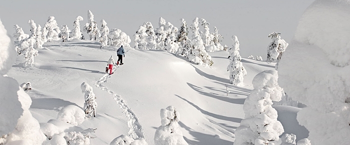 mastonaitio ruka diciembre catai laponia