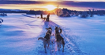 rovaniemi ounasvaara viajar a laponia