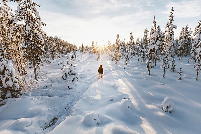 rovaniemi ounasvaara viaje laponia reyes