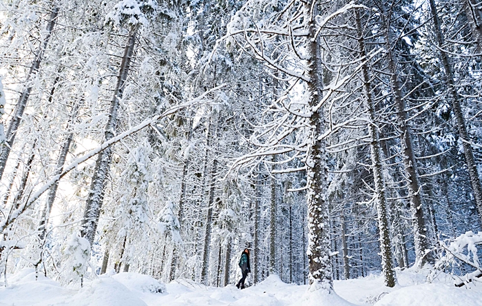 ruka lujo viajes a laponia