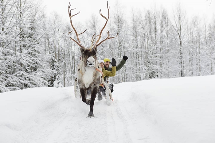 salla holiday diciembre pap anoel laponia