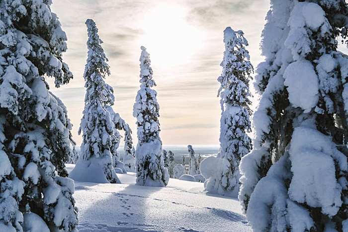 tropiiki kuusamo helsinki tallin 2016 papanoelenlaponia