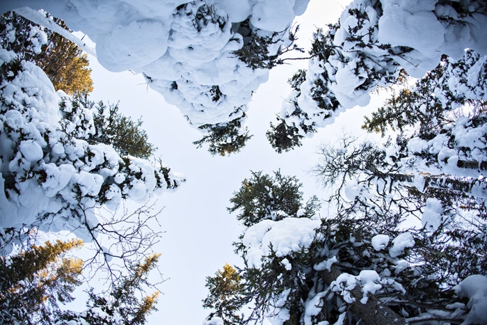 viaje a laponia kuusamo reyes 2018 19