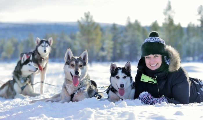 viajes laponia finlandesa artic