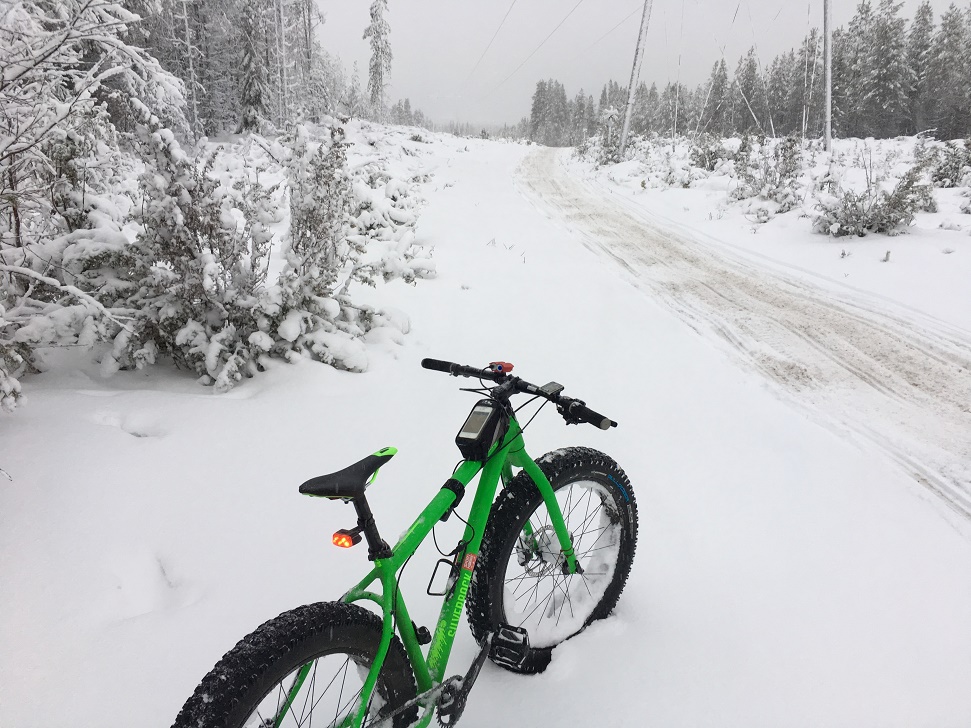 victor001 fatbike