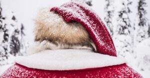 Somos Papa Noel en Laponia