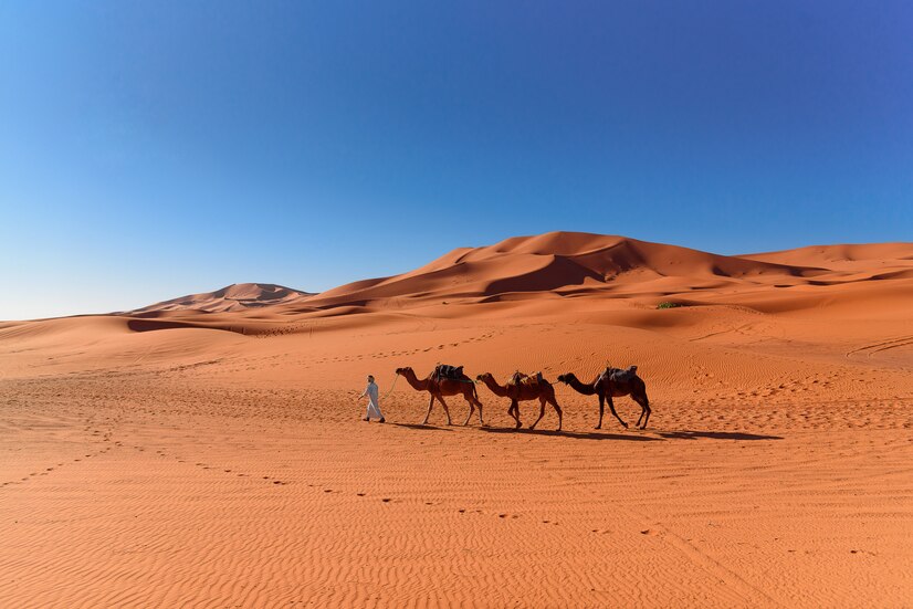 ¿Laponia o Marruecos para celebrar el año nuevo?