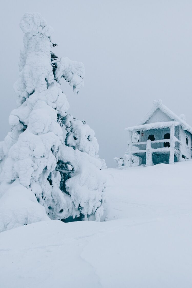 invierno en laponia