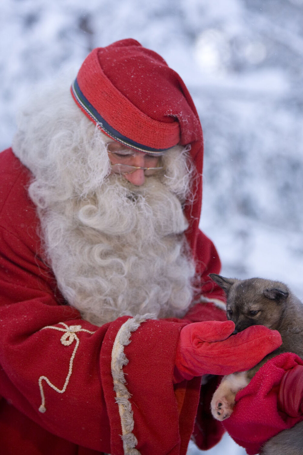 viajar-en-navidad-a-laponia (2)