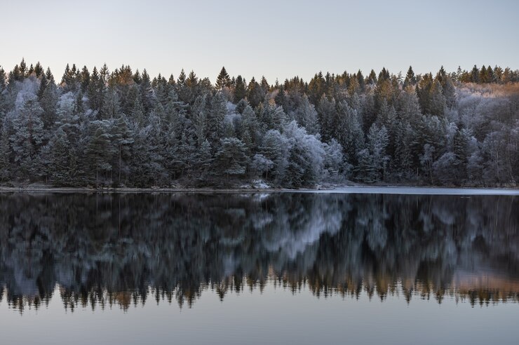 Explora la maravilla natural de Laponia en cualquier época del año
