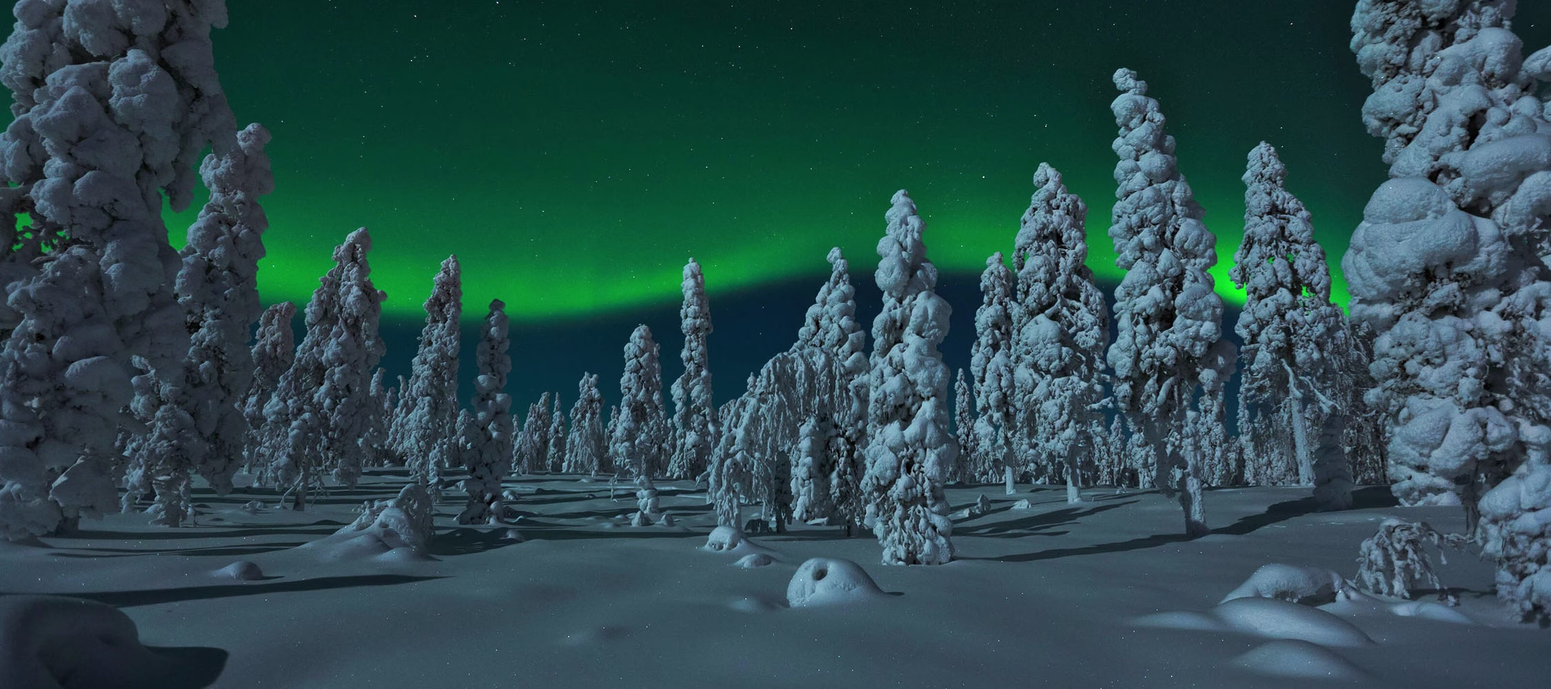 la maravillosa aurora boreal