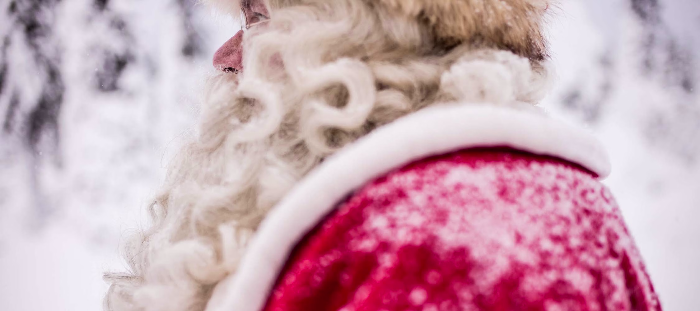 conoce en persona a papa noel