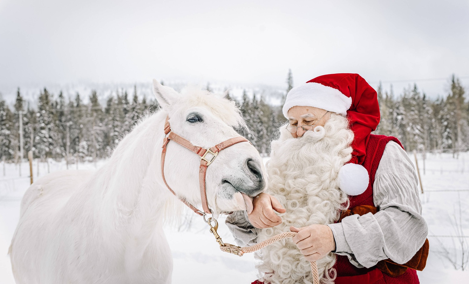 la magia de papa noel en laponia