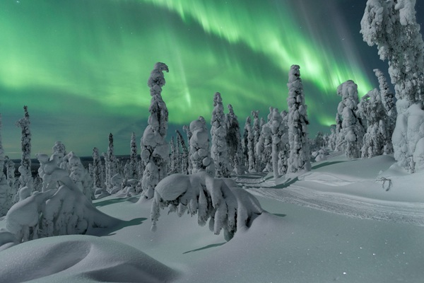 Salla